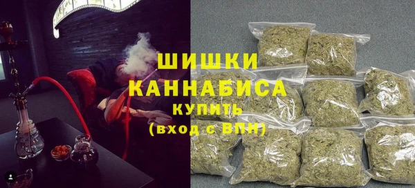 ECSTASY Богородицк