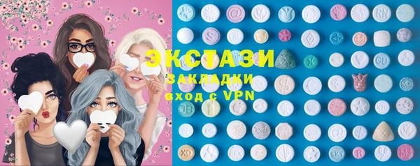 ECSTASY Богородицк